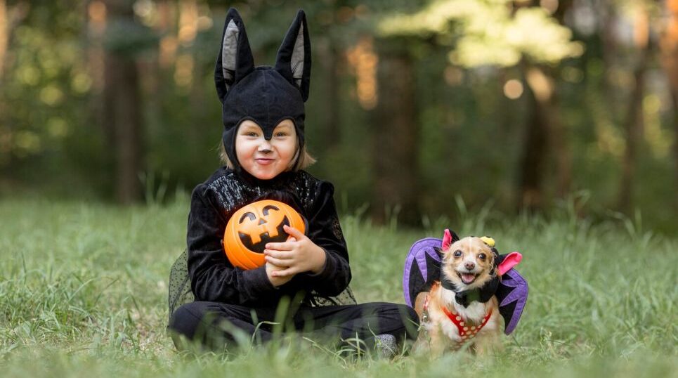 Dress Up Your Pets for Halloween